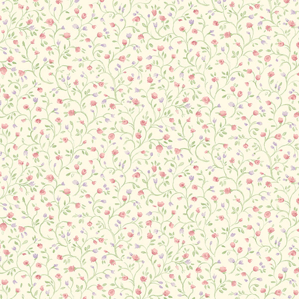 PP35538