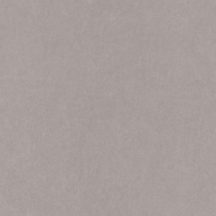 82381505