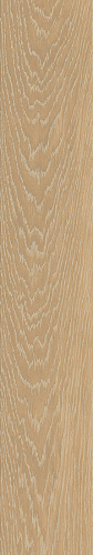 ATLAS CONCORDE LOG SELECT Icon Flamed