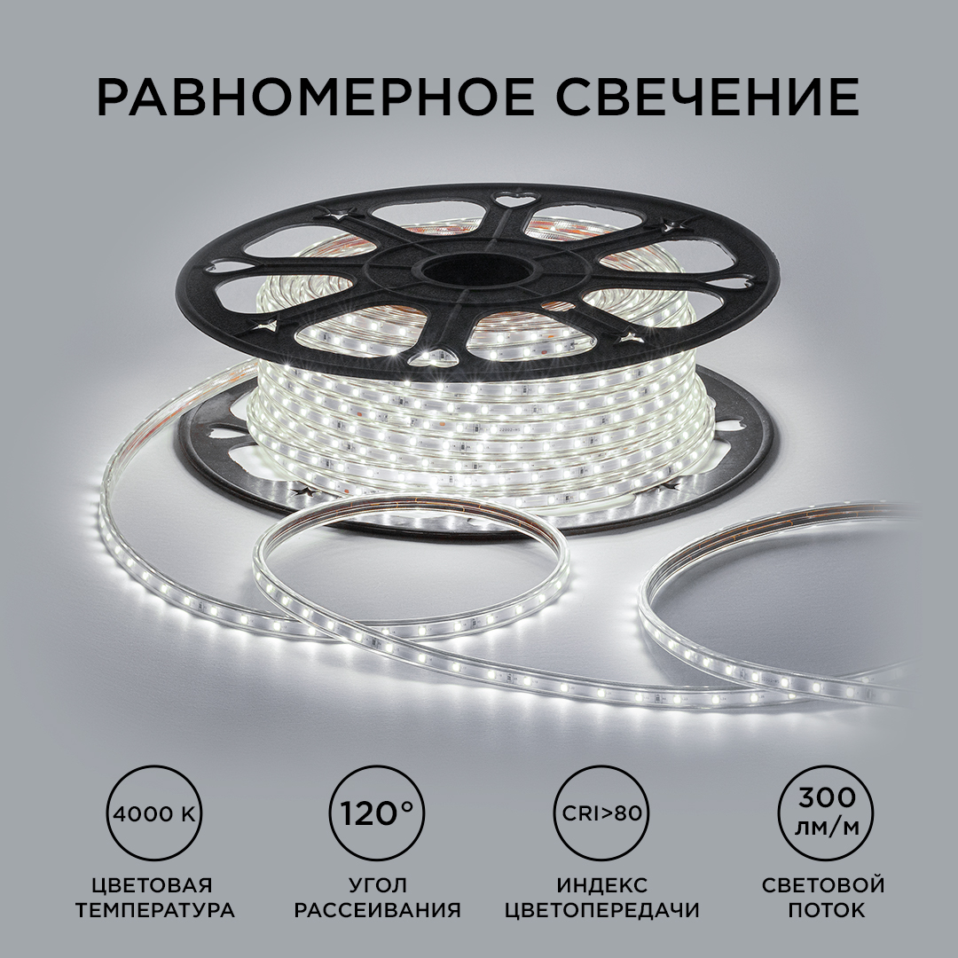 Светодиодная лента OGM Эконом 220В 2835 5Вт/м 4000К 50м IP65 O17-02
