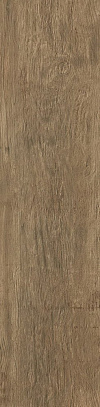 ATLAS CONCORDE AXI Brown Chestnut