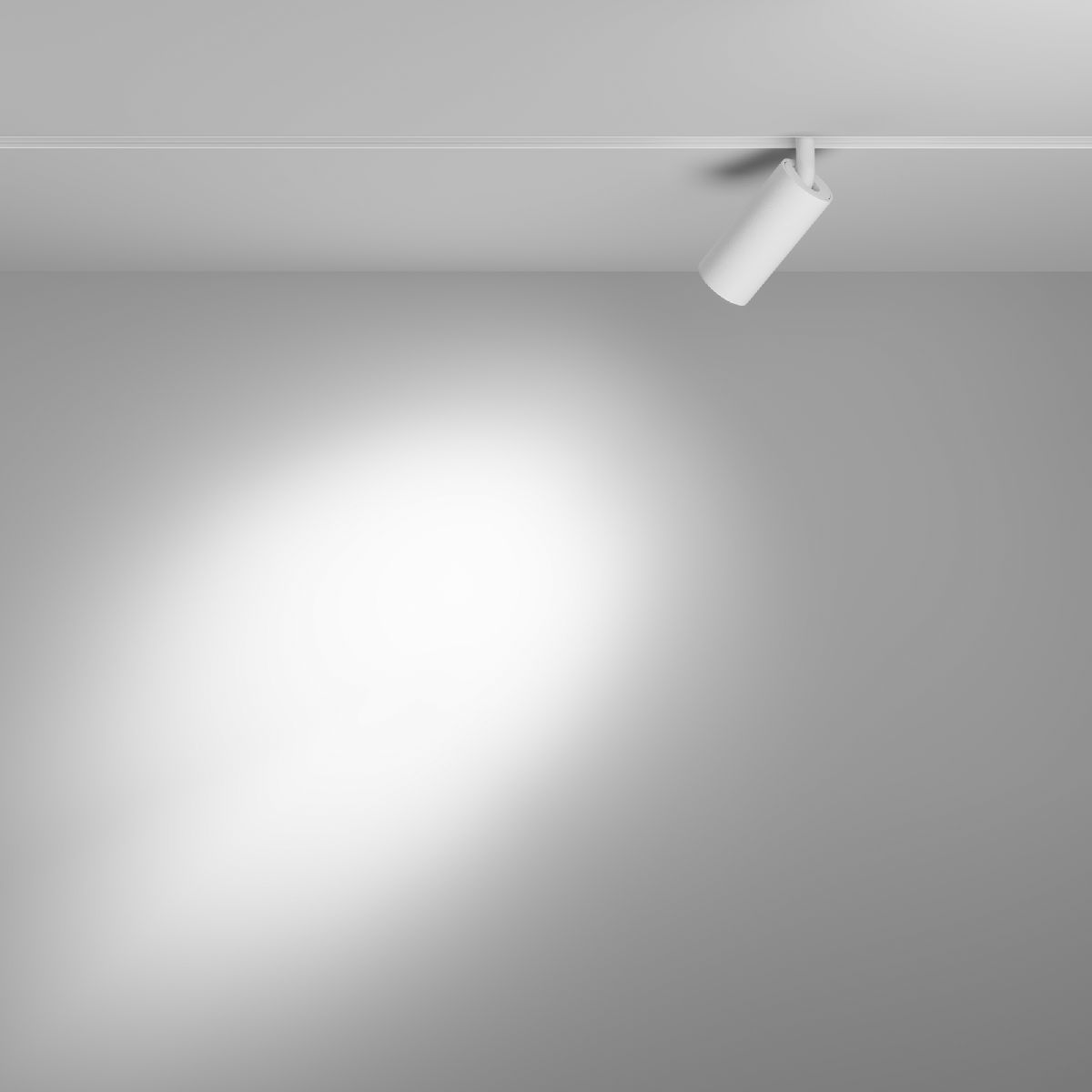 Трековый магнитный светильник Maytoni Focus LED TR032-4-5W3K-S-DS-W