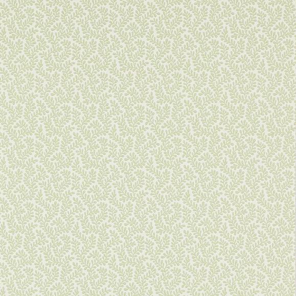 Обои Colefax and Fowler 07985/07 Rushmere Willow Green