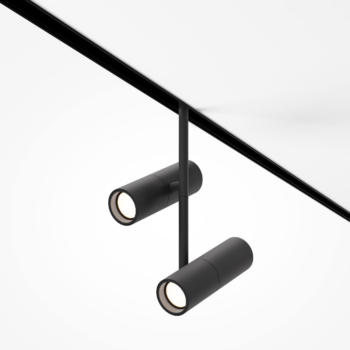 Трековый магнитный светильник Maytoni Elti Duo TR005-4-2X12W-DS-B