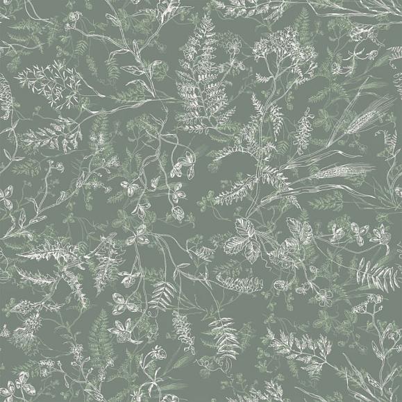 Обои Astratonova ² VI-Wldf1-01 Wild flora1 Foliage green01