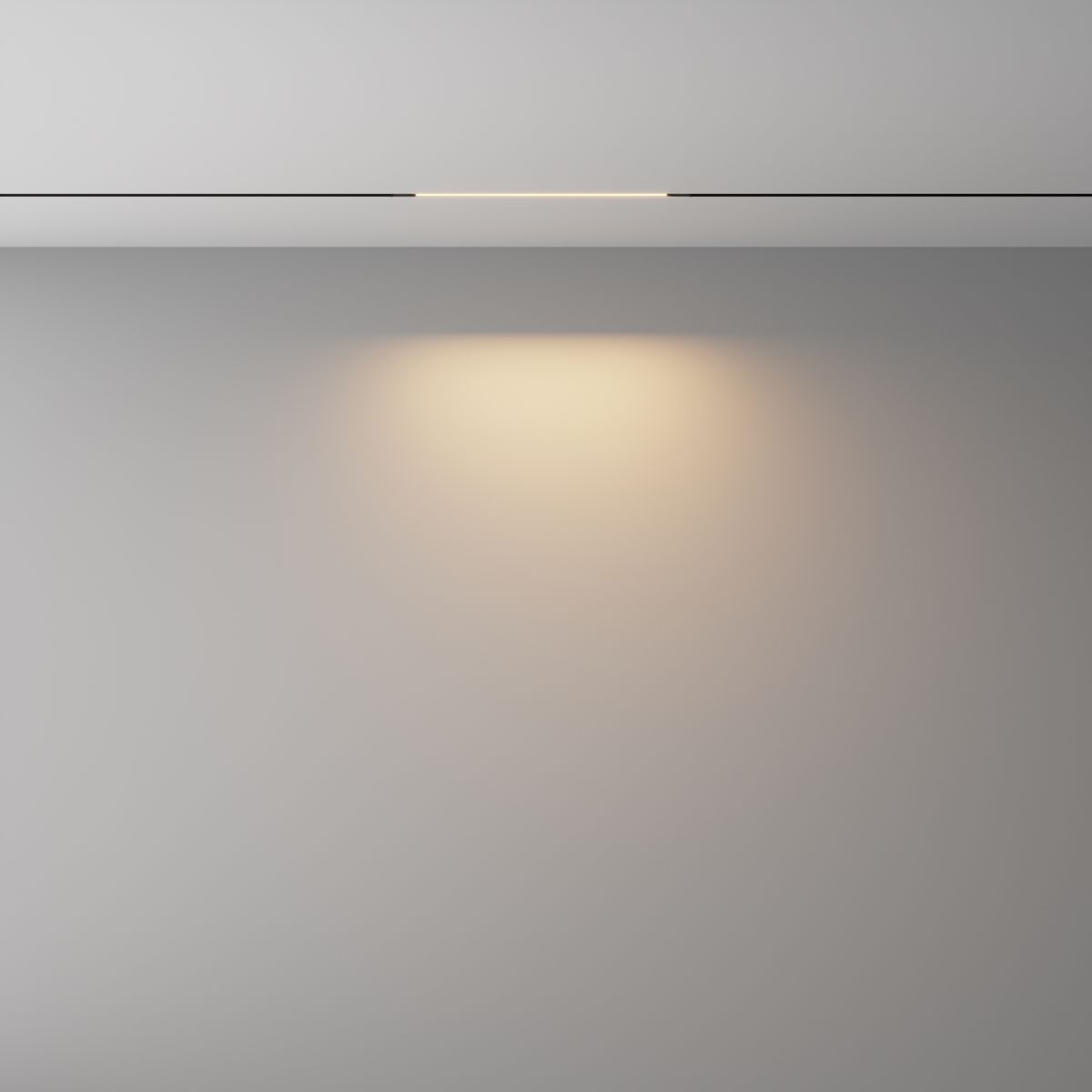Трековый магнитный светильник Maytoni Technical Basis Exility X TR240-2-6W3K-B