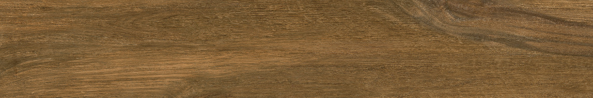 Paramo-R Marron 19,2х119,3