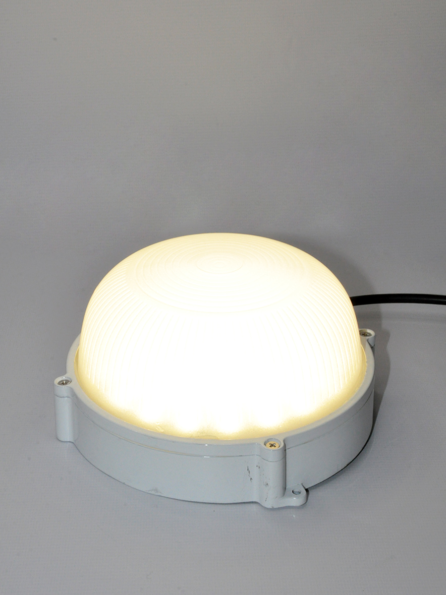 Настенно-потолочный светильник Elvan NLS-2204