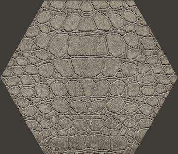 Ins. Cocco