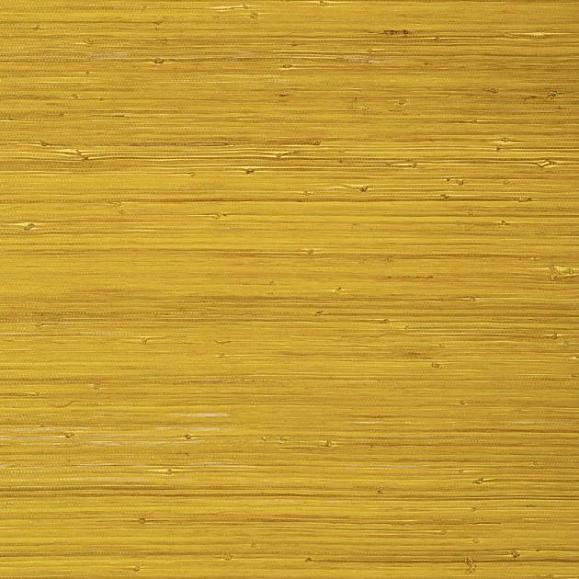 Обои Thibaut T24069 Raffia Palm Yellow