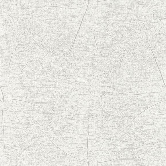 Обои Casadeco SWHT83760101 Winter Blanc