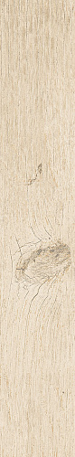 SANT'AGOSTINO YORKWOOD Honey