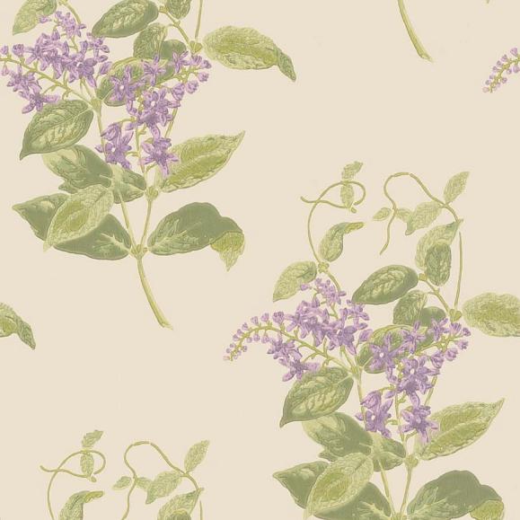 Обои Cole & Son 100/12056 Madras Violet