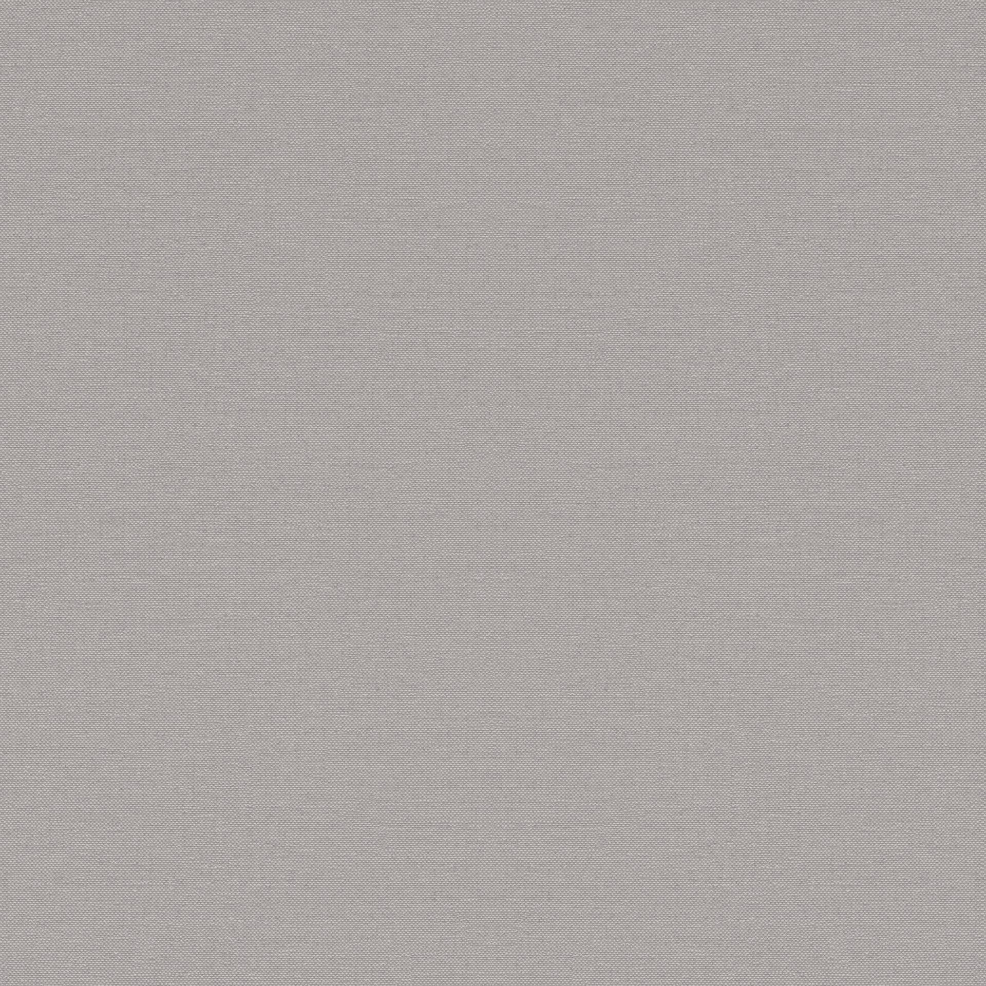 296005