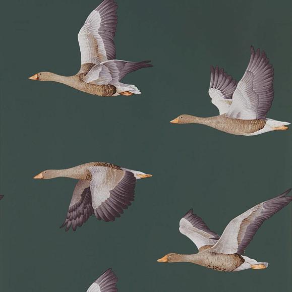 Обои Sanderson 216608 Elysian Geese Amsterdam Green