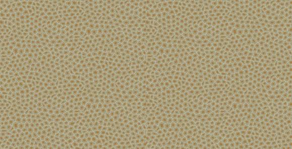 Обои Cole & Son 109/6029 Senzo Spot