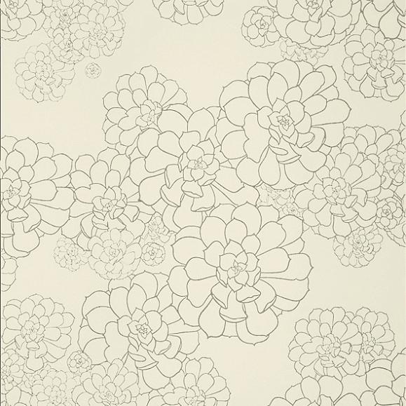 Обои Paint & Paper Library 0393AEWATTL Aeonium Wattle