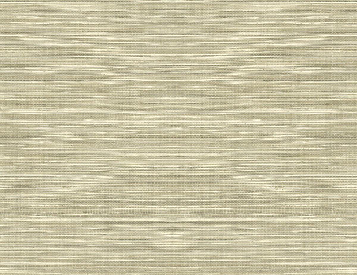RC15317