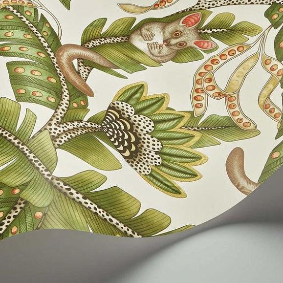 Обои Cole & Son 119/7032 Bush Baby