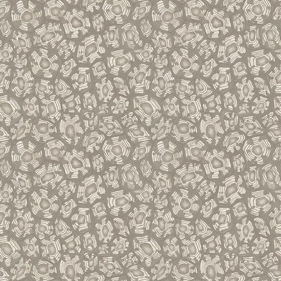 Обои Cole & Son 119/4022 Savanna Shell