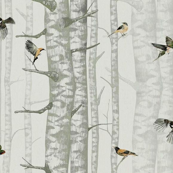 Обои Coordonne 9500042V Birch Trees Silvester