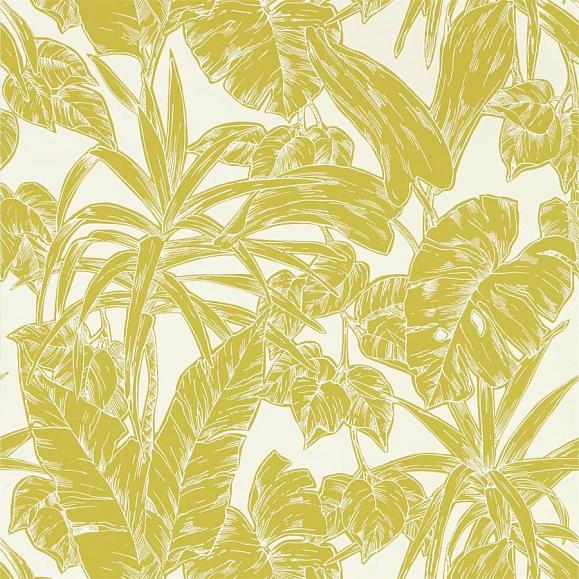 Обои Scion 112022 Parlour Palm Citrus