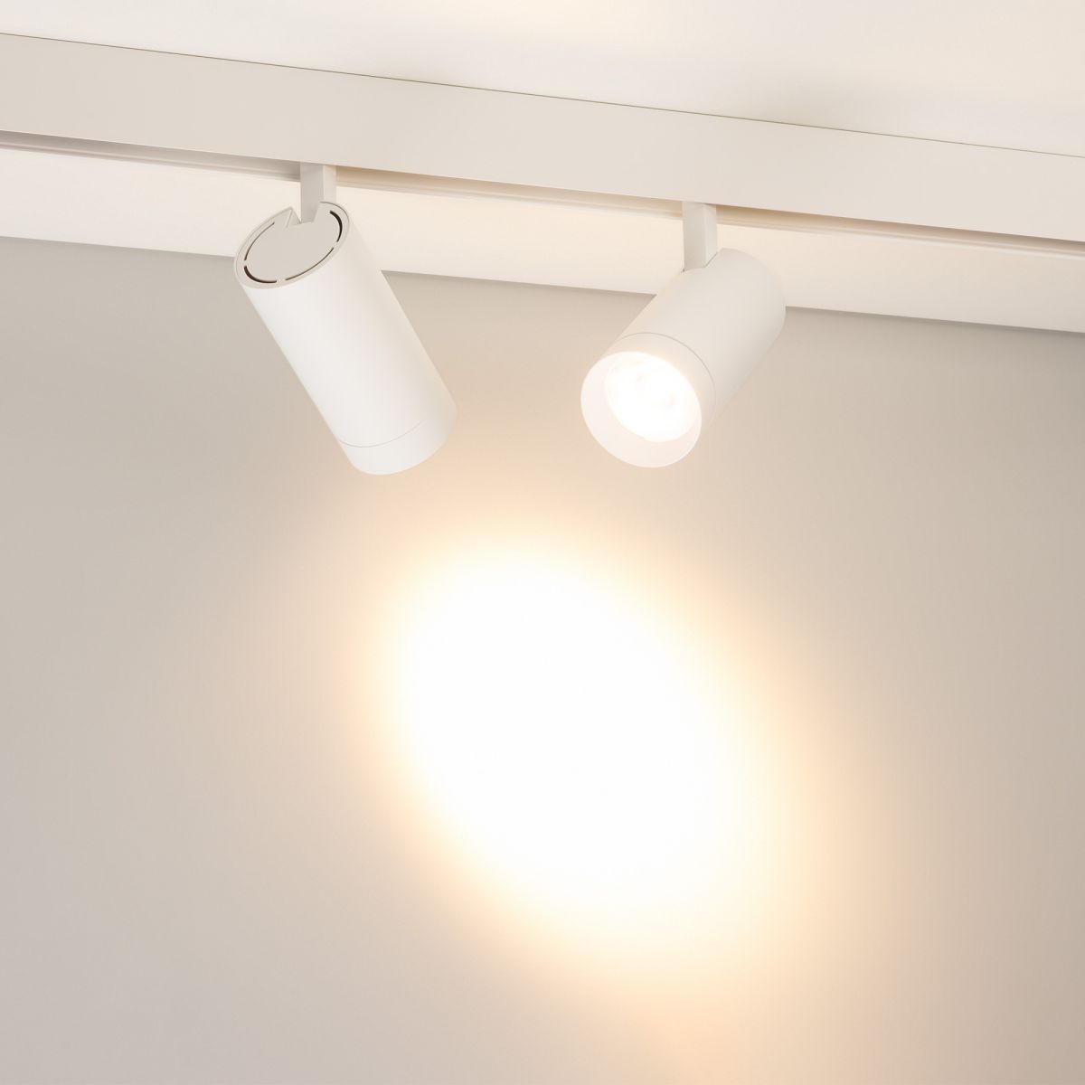 Трековый магнитный светильник Arlight MAG-ORIENT-SPOT-R65-20W Warm3000 (Белый, 24 deg, 48V) (IP20 Металл) 037124(1)