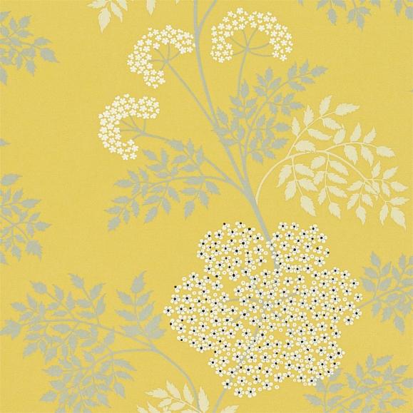 Обои Sanderson DOPWCO105 Cowparsley Chinese Yellow