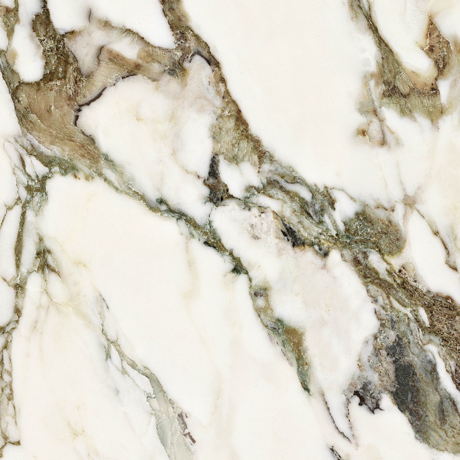 Calacatta Venato Polished CV20249