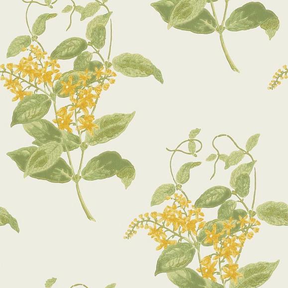 Обои Cole & Son 100/12059 Madras Violet
