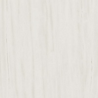 Marvel Bianco Dolomite 60x60
