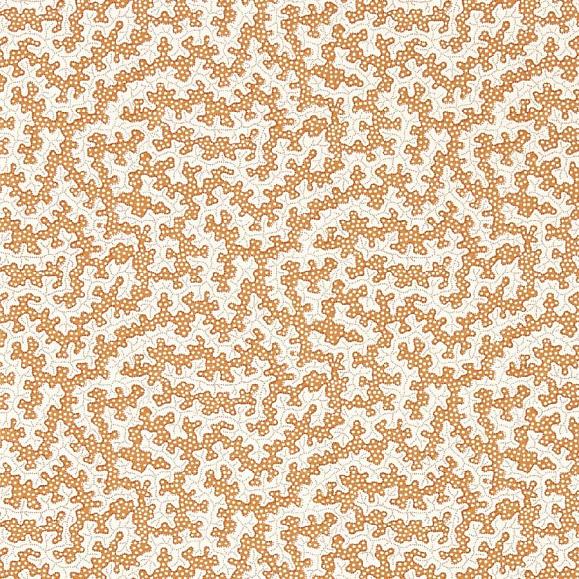 Обои Sanderson 217242 Truffle Rowan Berry