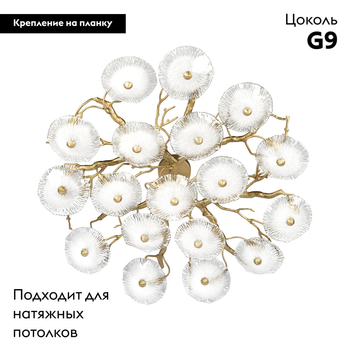 Потолочная люстра Loft IT Bloom 10352/1000C AB