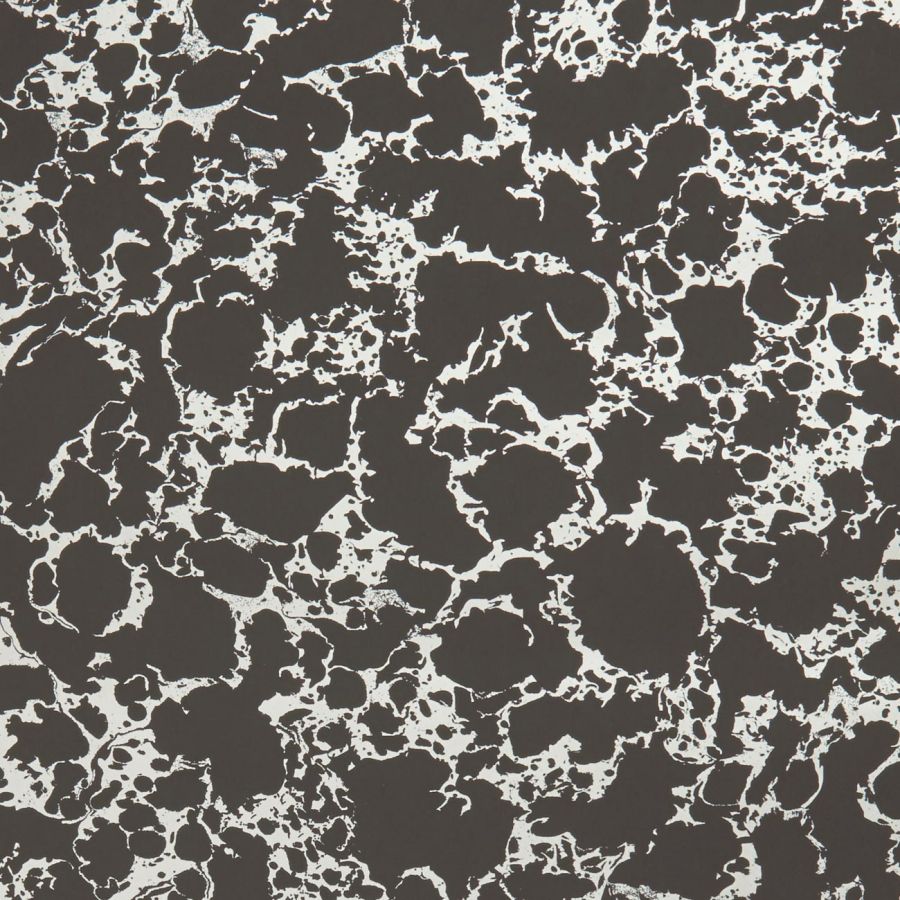 W0096-02