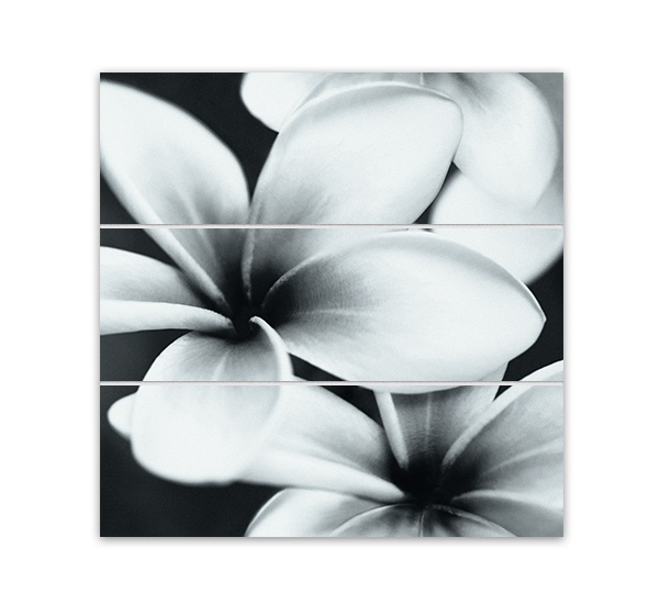 Панно Universal Glass Flowers 75x75 (UG2U093D)