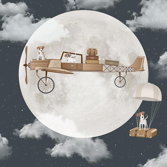Панно Hygge Wall H11361 Aviator Nigth