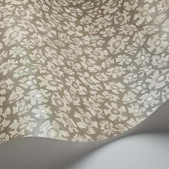 Обои Cole & Son 119/4022 Savanna Shell