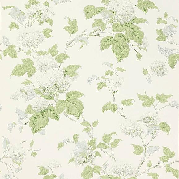 Обои Colefax and Fowler 07816/07 Chantilly Silver/Forest Green