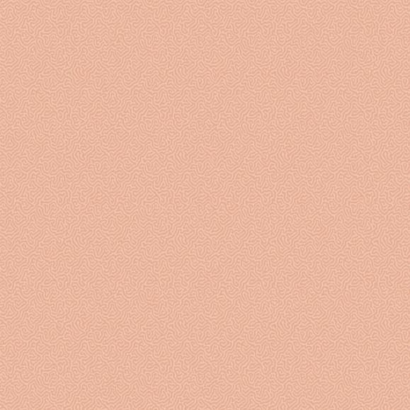 Обои Cole & Son 106/5075 Coral