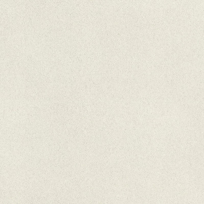 973006