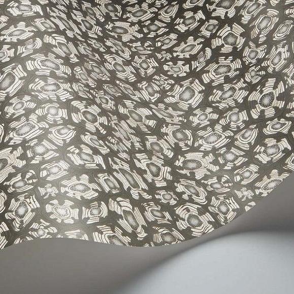 Обои Cole & Son 119/4023 Savanna Shell