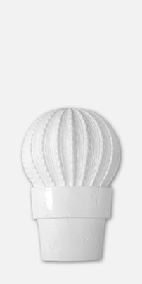 Cactus-B Blanco Brillo 30х60