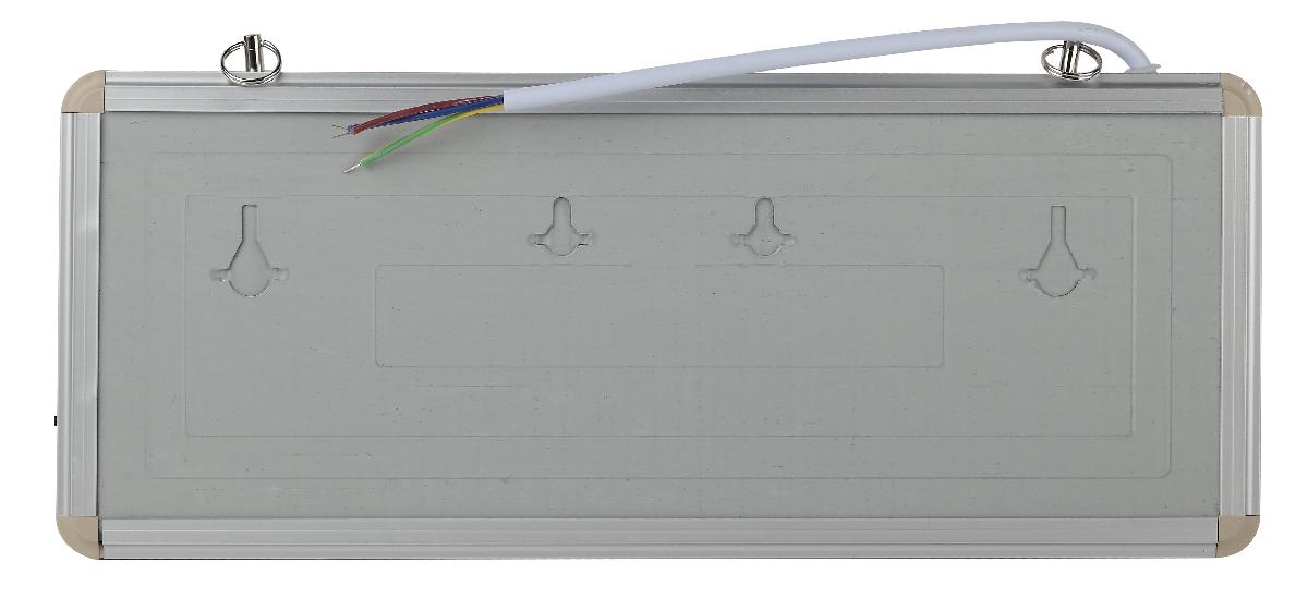 Аварийный светильник Эра SSA-101-0-20 Б0044387