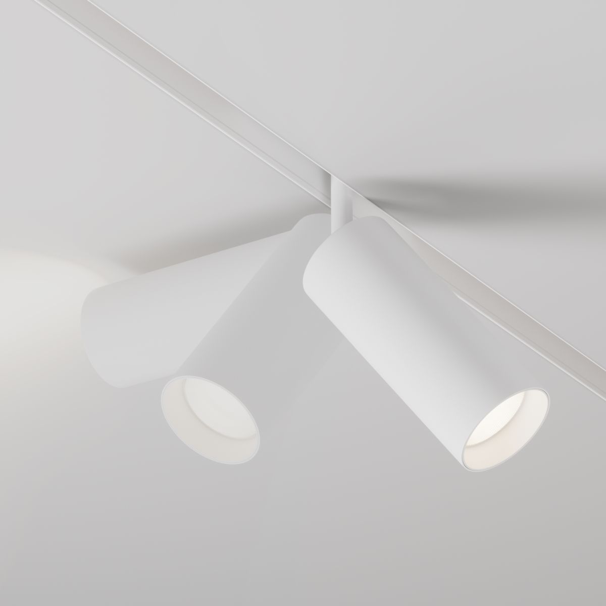 Трековый магнитный светильник Maytoni Focus LED TR032-4-20WTW-M-DD2-W