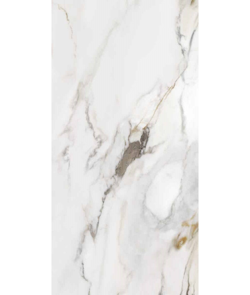 MACCHIA ANTICA LAPP. RETT. 60X120