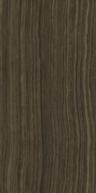 SURFACE ERAMOSA  60х120 LUX