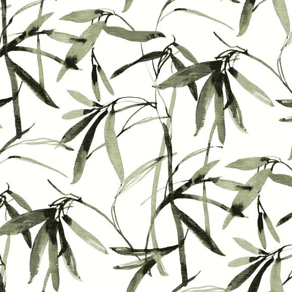 Обои York BW3842 Bamboo Ink Green/Black