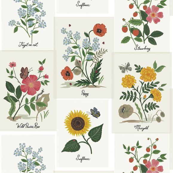 Обои York RP7334 Botanical Prints White