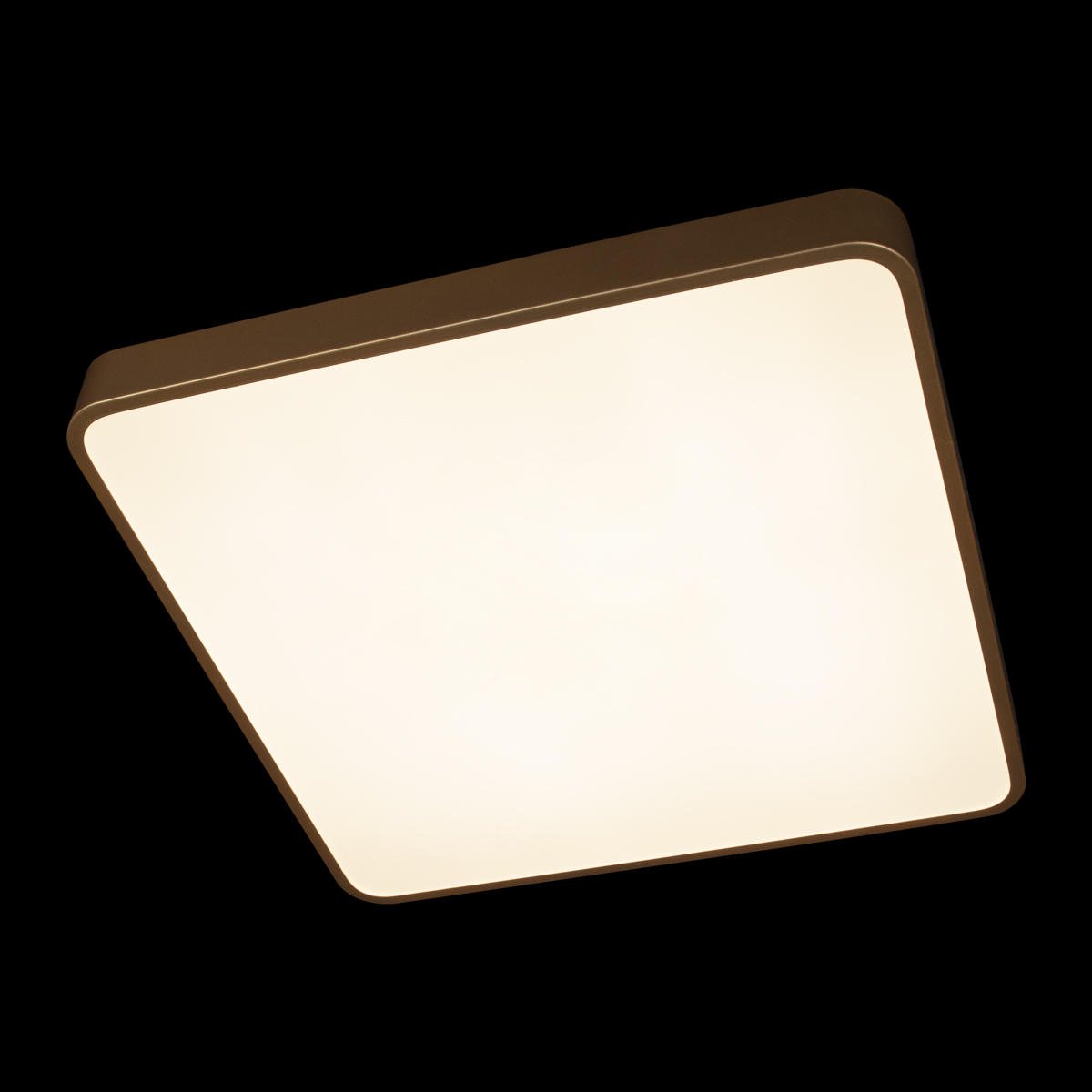 Потолочный светильник Loft IT Flims 10228/D