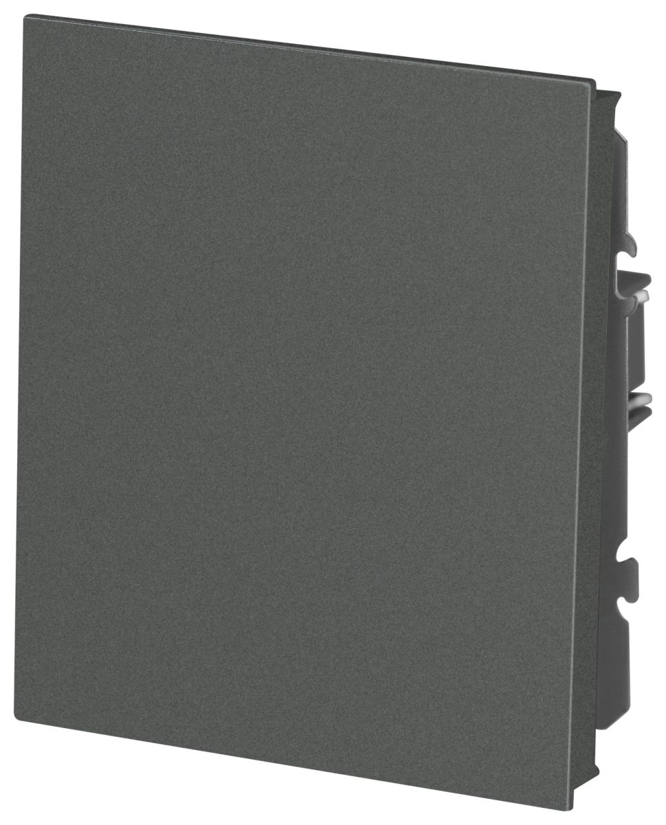 Кнопка Эра Arktik 16-1109-06 10АХ-250В графит Б0070399